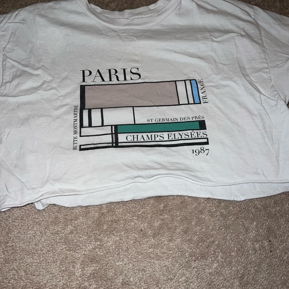 brandy Melville cropped t shirt